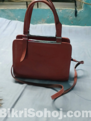 ব্যাগ